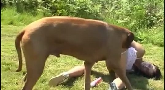 سكس كلاب مع حيجانة