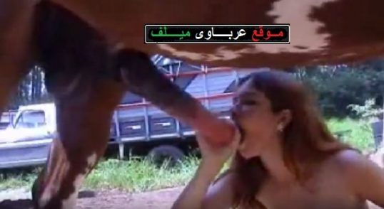 سكس حصان ينيك
